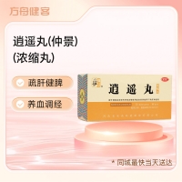 逍遥丸(仲景)