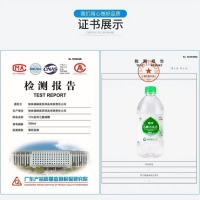 乙醇消毒液(漓峰)