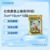 壮骨麝香止痛膏(羚锐)