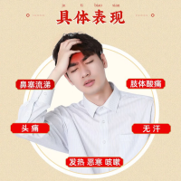 通宣理肺丸(同仁堂)