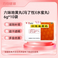 六味地黄丸(冯了性)(水蜜丸)