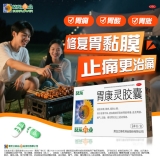 胃康灵胶囊(葵花)