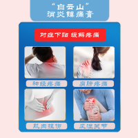 消炎镇痛膏(白云山)