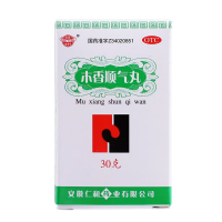 木香顺气丸(颍州)