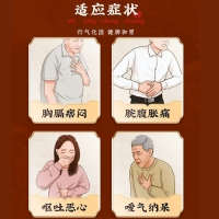 木香顺气丸(同仁堂)