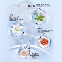 百乐眠胶囊(扬子江)
