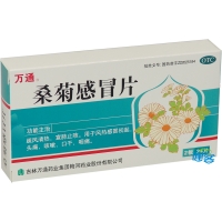 桑菊感冒片