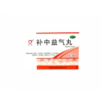 补中益气丸(丹龙)