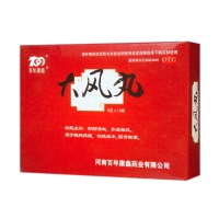 大风丸(百年康鑫)