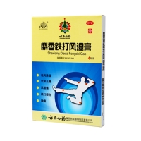 麝香跌打风湿膏