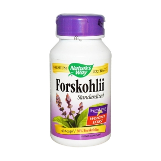 Nature's Way毛喉鞘蕊花提取物
