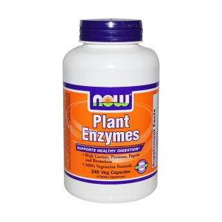 Now Foods Plant Enzymes