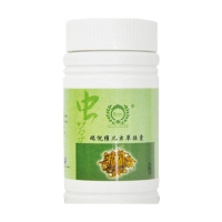瑞倪维儿 虫草胶囊
