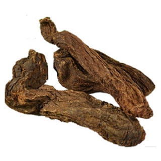 中药饮片锁阳补肾壮阳固精