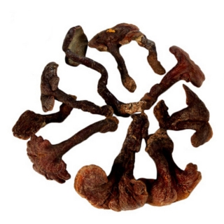 一品仙芝 味微苦红灵芝 400克