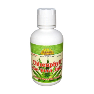 dynamic health laboratories 薄荷香型芦荟汁液体叶绿素(500ml)