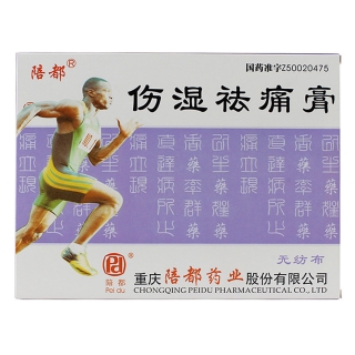 伤湿祛痛膏(陪都)