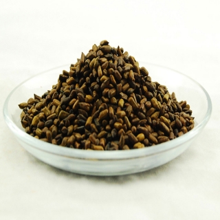 雪域满江 健康营养茶 炒决明子 400克