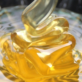 雪域满江 益母草蜂蜜(600克)