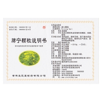 肺宁颗粒(君美)