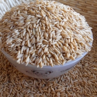 雪域满江 燕麦米(100克)
