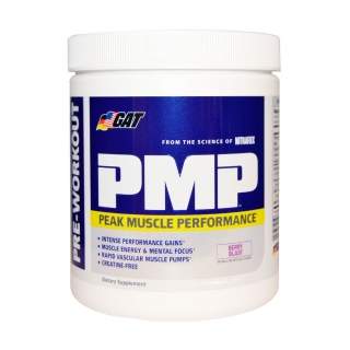 GAT PMP Peak Muscle Performance(浆果味 255克)