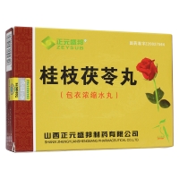 桂枝茯苓丸(正元盛邦)