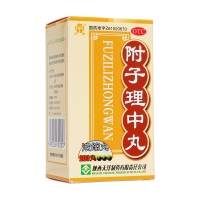 附子理中丸(汉源)