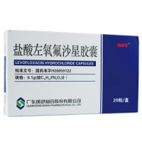 盐酸左氧氟沙星胶囊