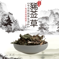 高端原生态植物药材精选豨莶草500g