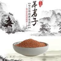 高端原生态植物药材精选葶苈子250g