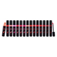 ARITAUM Color Lasting Tint 染唇彩唇釉(13#)