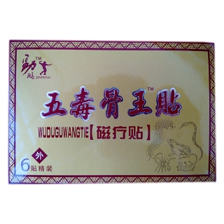 天中堂 五毒骨王贴 磁疗贴