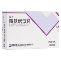 桂枝茯苓丸(朗致)