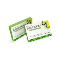 头孢克洛分散片