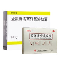 欣百达+西洋参黄芪胶囊