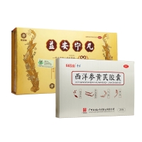 益安宁丸+西洋参黄芪胶囊