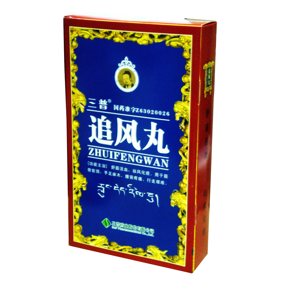 追风丸