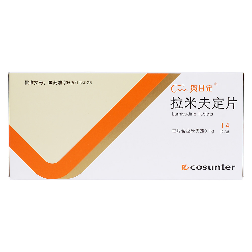 拉米夫定片贺甘定