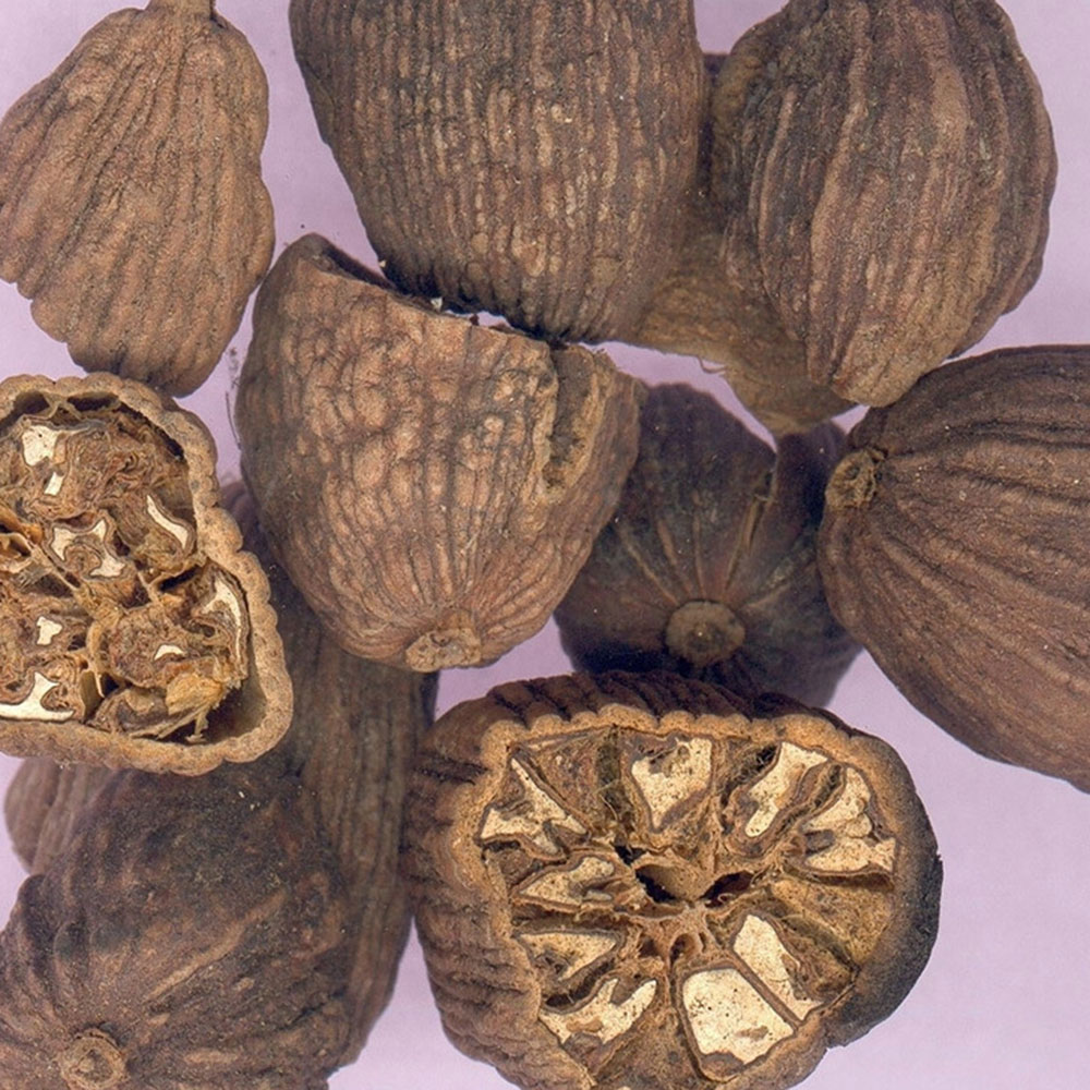 雪域满江 草果(150克)(草果) _说明书_作用_效果_价格_方舟健客网