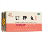 归脾丸(仲景)